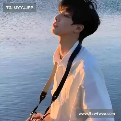 蓬盈晓